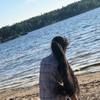 rupinder_chahal